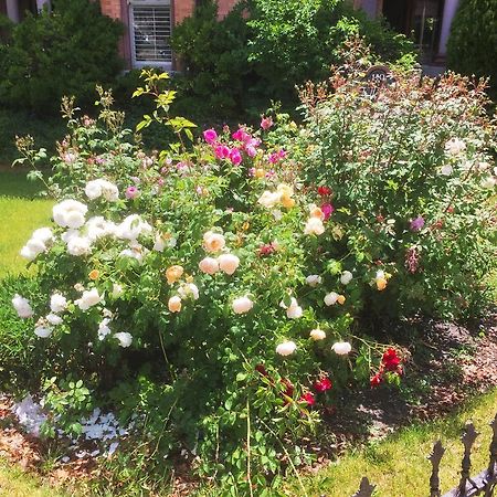 Historic Ellerbeck Mansion Bed & Breakfast Salt Lake City Exteriér fotografie